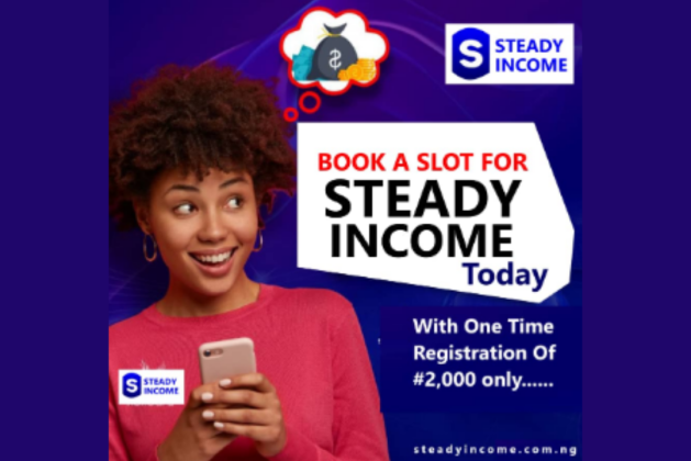 Steadyincome.com.ng review (Is steadyincome.com.ng legit or scam?) check out