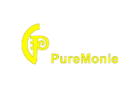 Puremonie.com.ng review (Is puremonie.com.ng legit or scam?) check out