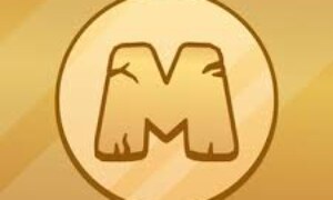 MEMFI COIN